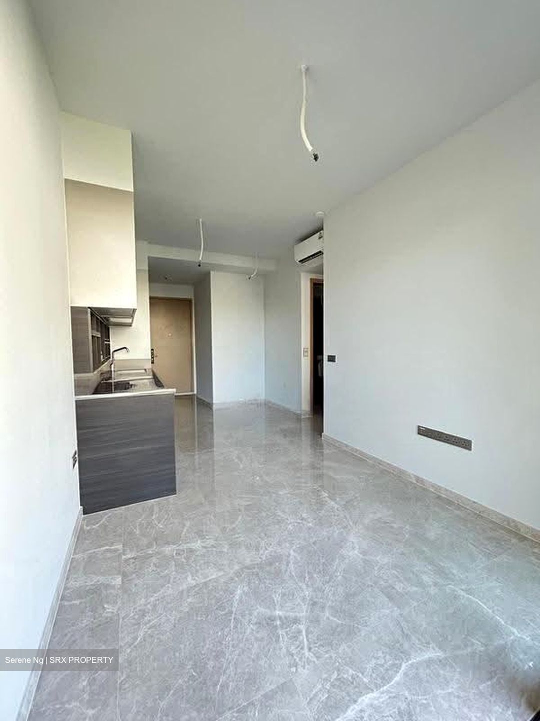 Haus On Handy (D9), Condominium #636430291